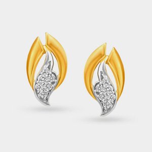 Slender Earrings